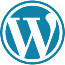 Hire WORDPRESS Developers