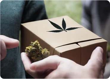 cannabis delivery app