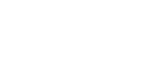 Bharat Pay