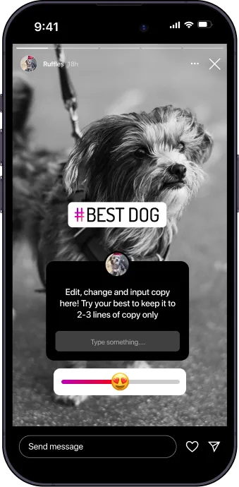 Interactive Features