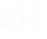 gs_logo