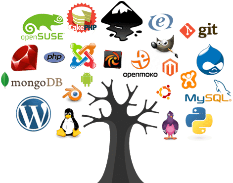 website development