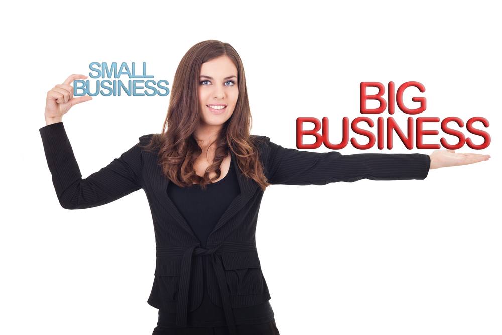 Startups vs Big Business