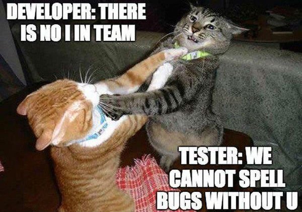 developer_tester_fights