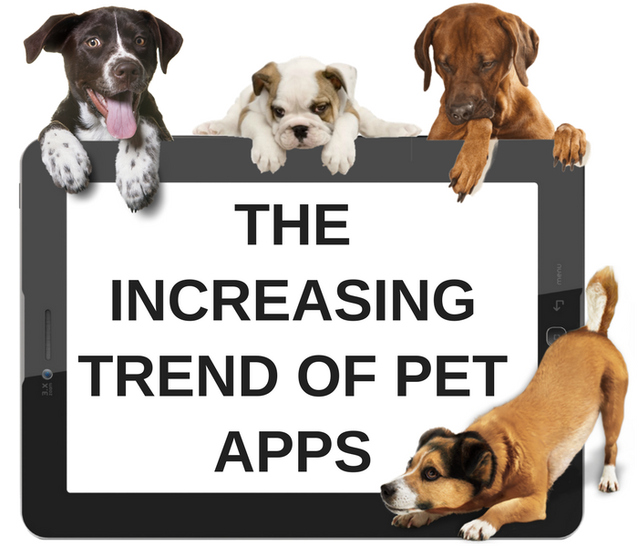 A Pet App Can Be Your New Business Idea