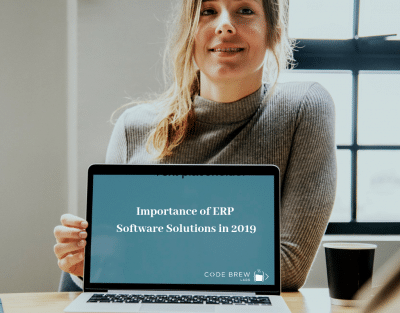 Importance of ERP Software Solutions in 2019