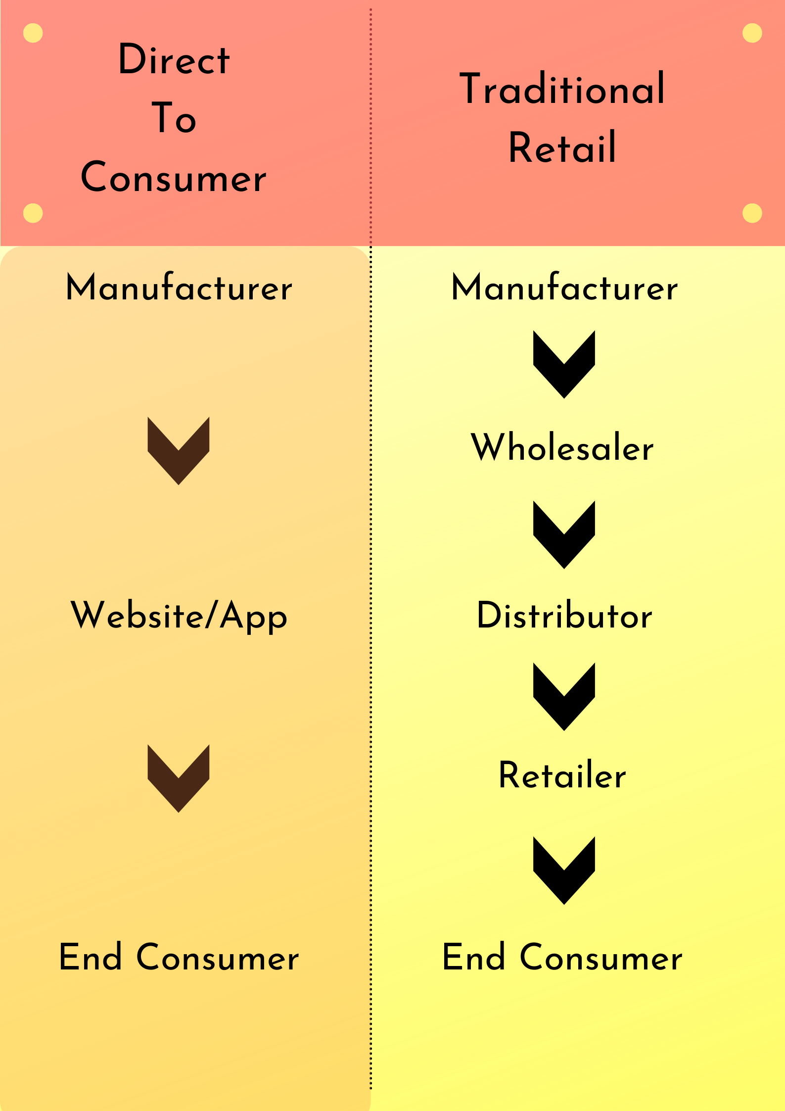 Direct to Consumer Model vs Traditional Retail