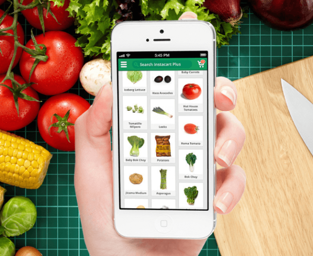 start an online grocery business like Blinkit